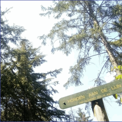 Screen Shot 2025-08-16 at 11.06.05