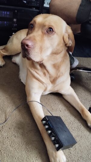 IMG_20241218_130952575