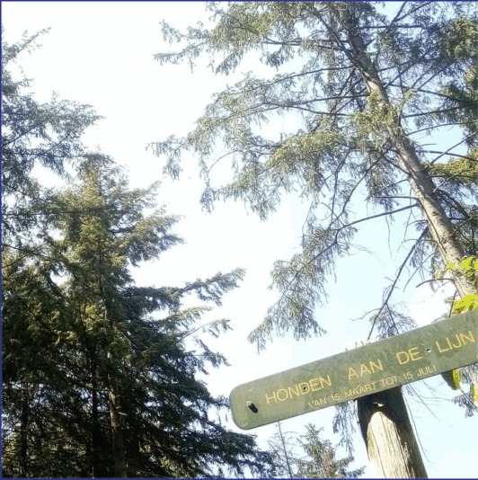 Screen Shot 2025-08-16 at 11.06.05